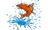 Direct naar SuperFish aquarium